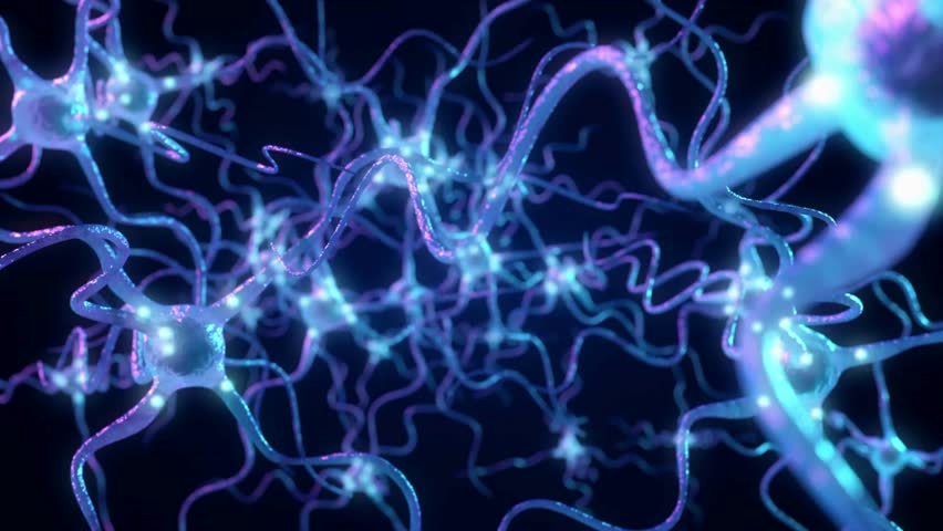 Camera moves through neuron cells,Neurons inside human brain,3d animation
