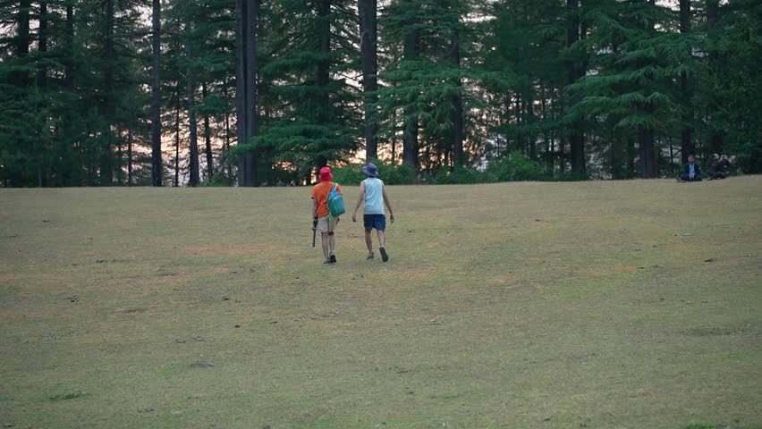 Beautiful view of the celestial meadows of Shangarh with mountains in the background, Shangarh, Sainj Valley, India. Pine trees line the surrounding meadow. A perfect summer travel destination.