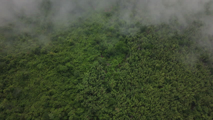 Aerial view of misty mountains and dense forests in Thailand, showcasing natural landscapes, environmental conservation, and sustainable nature.