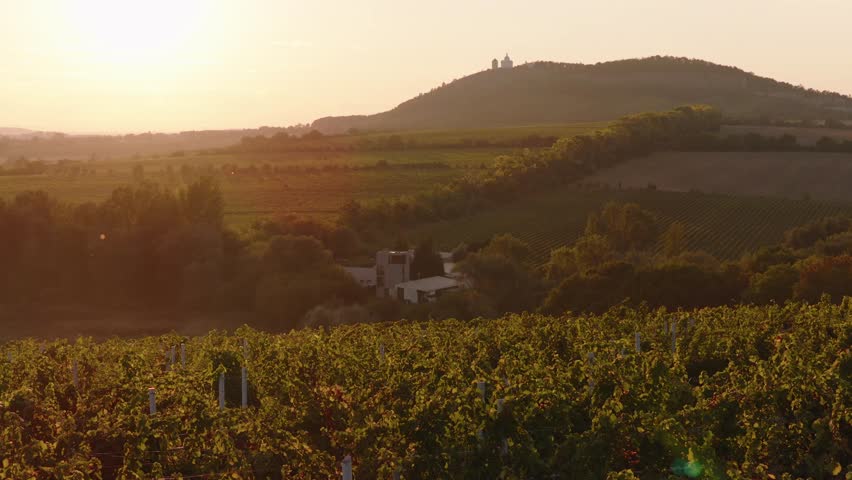 Beautiful aerial shot of a sunlit vineyard with rolling hills, a country house nestled among trees, and a scenic hilltop silhouette during golden hour. Mikulov, Czech republic. (4K)