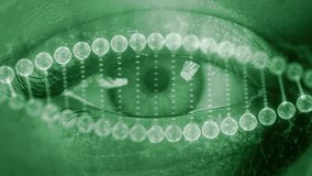 Futuristic DNA and RNA helix Over Human Eye. Biotech, Medical Innovation, Genetic Engineering, Molecular Genomic Research, Healthcare Clinical Diagnostics, Scientific Visualization. AI in Healthcare - Powered by Shutterstock - Get 15% off with code: PIKWIZARD15