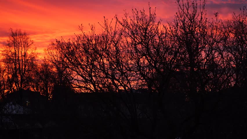 A dramatic sky glows in vivid orange and red hues at sunset, while the dark silhouettes of rooftops and bare tree branches create striking evening contrasts. Nightfall panorama.