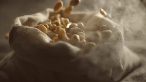 Crispy roasted salted peanuts falling in super slow motion close up. Hot delicious fried peanuts snacks with smoke flying. High speed 1000 fps footage - Powered by Shutterstock - Get 15% off with code: PIKWIZARD15