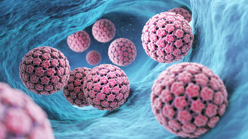 3D illustration of human papillomavirus (HPV) particles in a blue cellular environment.