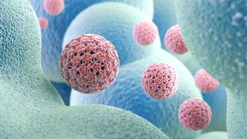 3D illustration of human papillomavirus (HPV) particles in a blue cellular environment.