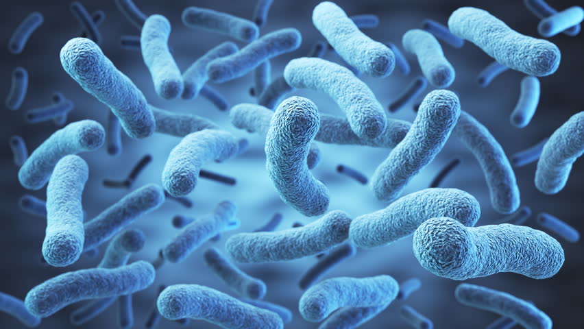 Lactobacillus bacteria, probiotic medical background 3d illustration