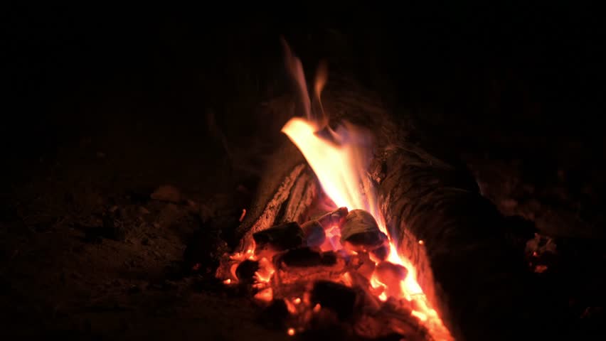 Bonfire with orange flames of burning wood and bricks around it making smoke in a forest during a dark night under a blurred background