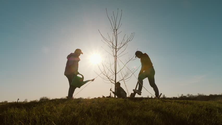 Family silhouette planting tree at sunset outdoors