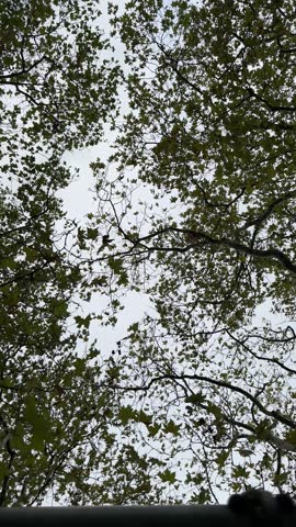 Peaceful moment in the parc