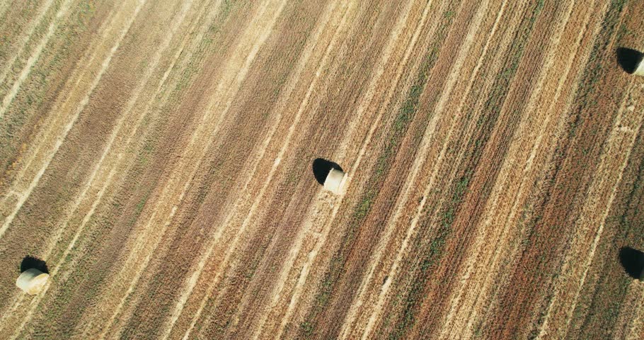 Yellow golden straw bales of hay in the stubble field, agricultural field under a blue sky with clouds, aerial view