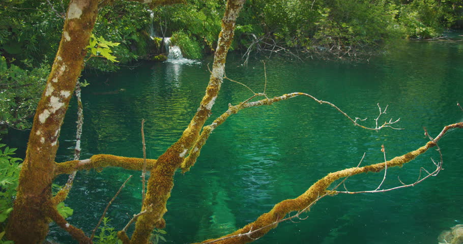 Clear emerald lake surrounded by mossy trees in Plitvice Lakes Croatia in summer