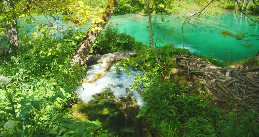 Cascading stream flows through lush greenery toward a turquoise lake with clear water