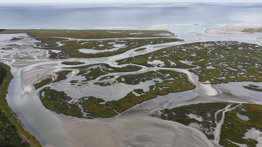 Sinuous channels meander through a scenic salt marsh on Cape Cod, Massachusetts. Salt marshes act as natural carbon sinks, are sheltered nurseries for wildlife, and buffer against storms and waves.