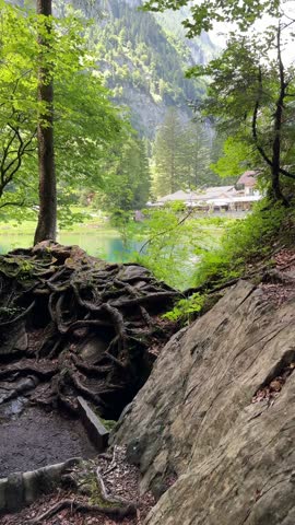 Crystal-clear Blausee lake in Switzerland, where the water is so transparent you can see fish swimming below. Pristine alpine nature, peaceful atmosphere, and stunning natural beauty. Kandergrund 