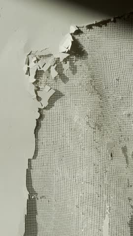 Peeling wall revealing mesh underneath in an old building