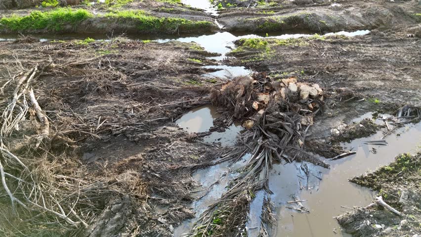 A muddy area with a stream of water running through it. The water is murky and has a brownish tint