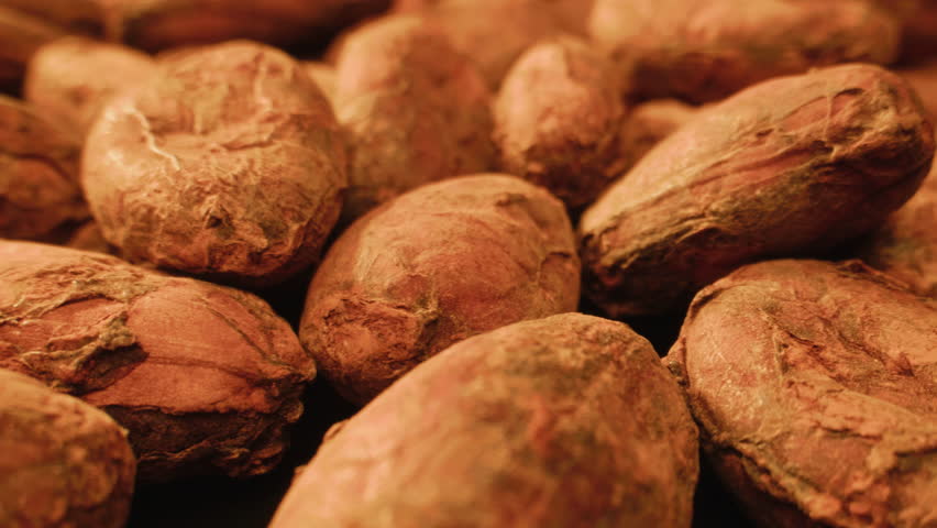 Cocoa beans macro, Roasted Cacao or cocoa bean falling slow motion close-up shot, chocolate production line, texture background.
