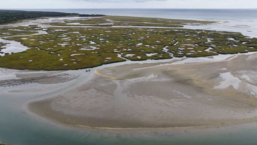 Sinuous channels meander through a scenic salt marsh on Cape Cod, Massachusetts. Salt marshes act as natural carbon sinks, are sheltered nurseries for wildlife, and buffer against storms and waves.