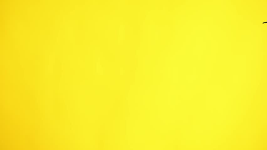 Proud young graduate beaming with achievement in cap and gown ready to conquer the future with aspirations