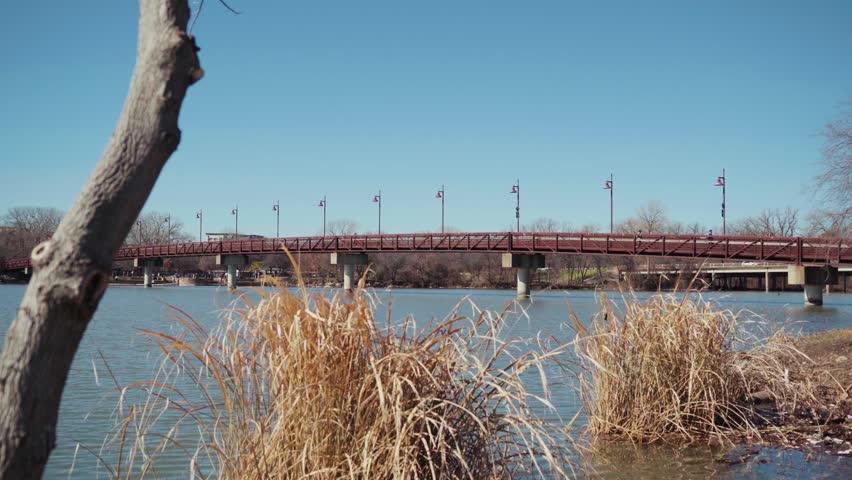 White Rock Lake shoreline with ferns and bridge in Dallas, Texas.