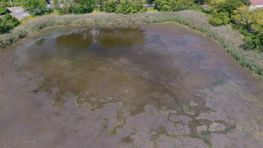 Aerial drone video of wetland pond with reflections, tall grasses, and green forest trees in Staten Island, New York, on a clear sunny summer day.