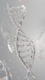 Vertical 3D DNA strand floating in soft light. Perfect for skincare, anti-aging, biotech, and health supplement branding visuals. Clean and modern look. - Powered by Shutterstock - Get 15% off with code: PIKWIZARD15