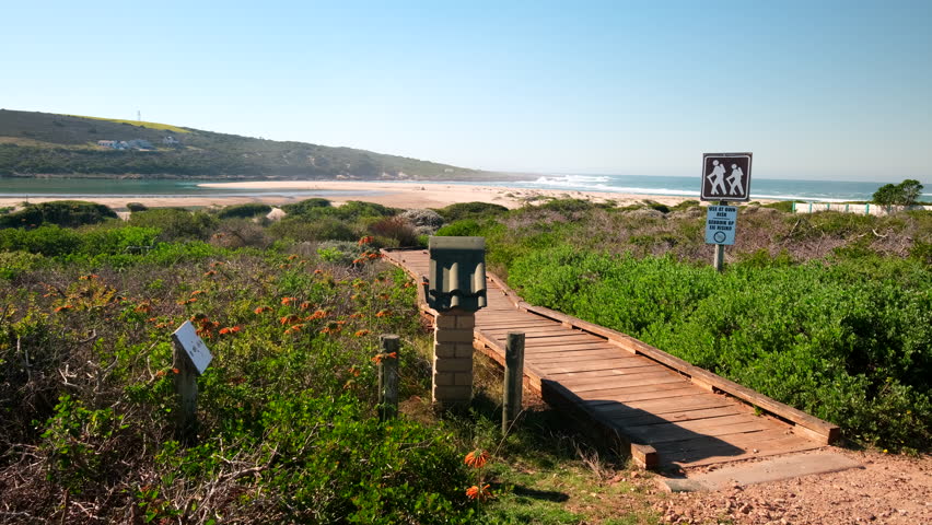 Wooden walkway through native coastal dune fynbos in scenic Gouritsmond, RSA