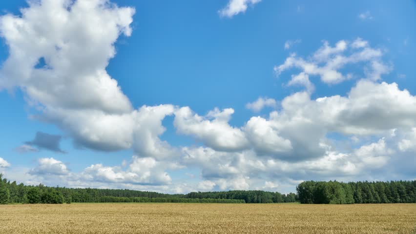 A timelapse of clouds over an agricultural field. A spring landscape with a forest, an empty field and clouds. A harvested wheat field