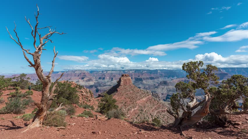 Time lapse of the Grand Canyon national park with dead trees, blue sky and big clouds over wide landscape