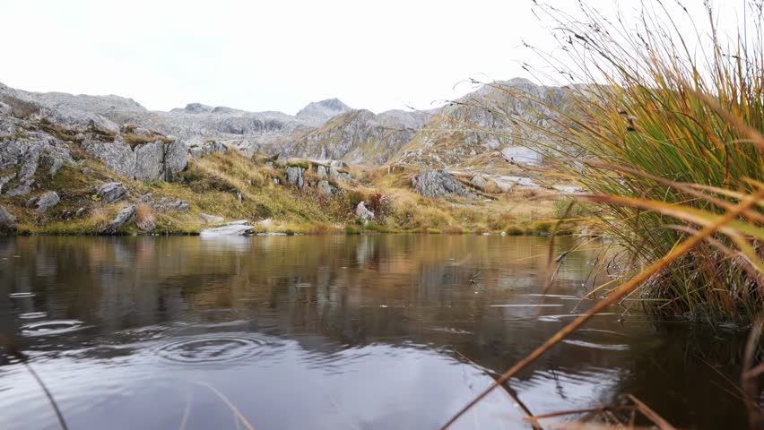Rain drizzle falling on the surface of a pond up in the mountains. Low, wide angle view, moody atmosphere, tall grass moving in the breeze, mossy rocks in the background, cloudy sky, real time