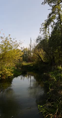 a small river in the autumn with trees, a bright autumn landscape with a river and trees on the shore in the autumn season