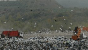 Garbage trucks unload garbage at the city landfill. A huge mountain of garbage. Gulls and other birds fly around the landfill. A concept of global environmental pollution. - Powered by Shutterstock - Get 15% off with code: PIKWIZARD15