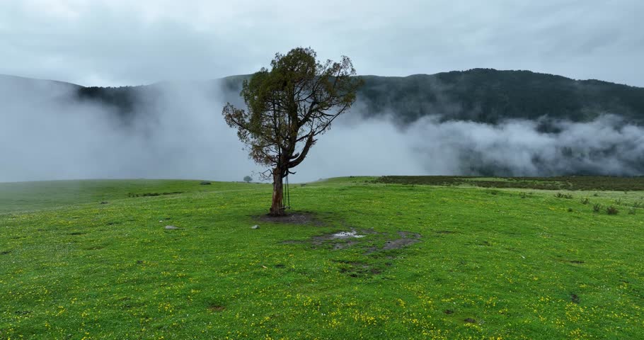 Beautiful lake in flowering grassland mountain landscape 