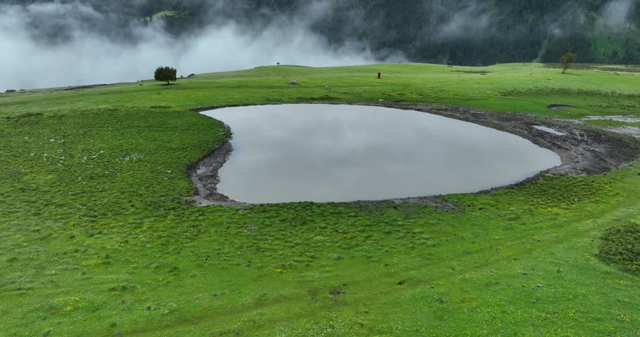 Beautiful lake in flowering grassland mountain landscape 