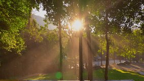 Golden sunlight streams through a dense forest canopy, casting dramatic rays over a misty trail. The tranquil scene captures the serene beauty of nature illuminated by warm light.   - Powered by Shutterstock - Get 15% off with code: PIKWIZARD15