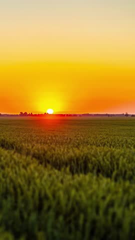 Timelapse shot featuring sunrise captured from a green field. Rural landscape.