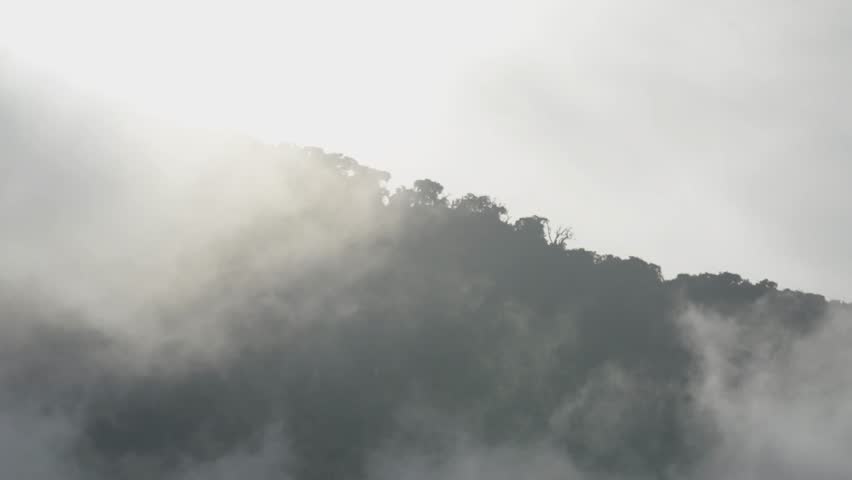Foggy Mountain Landscape with Backlight