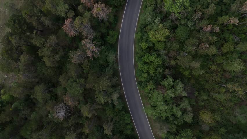 Aerial drone view of road curving between trees, symbolizing journey, connection, landscape, infrastructure, and harmony with natural environment.