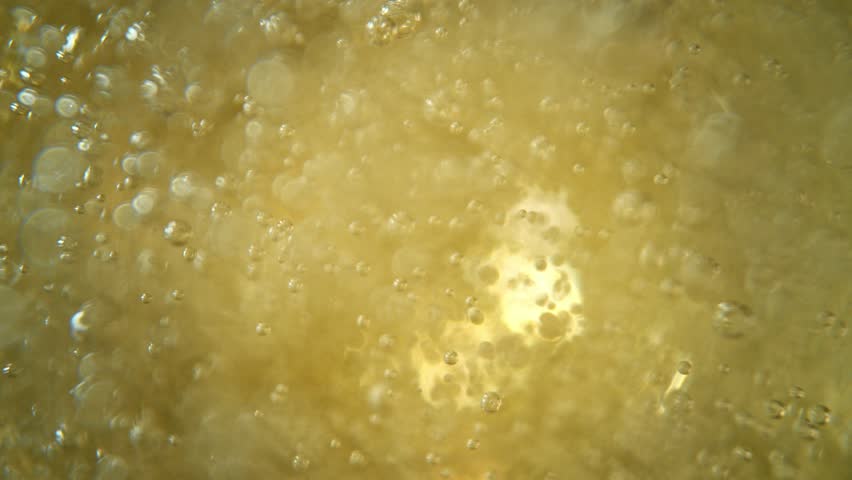 Super slow motion of champagne bubbles. Unique angle with underwater macro lens. Concept of celebration and success. Filmed on high speed cinema camera, 1000 fps