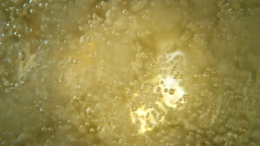 Super slow motion of champagne bubbles. Unique angle with underwater macro lens. Concept of celebration and success. Filmed on high speed cinema camera, 1000 fps