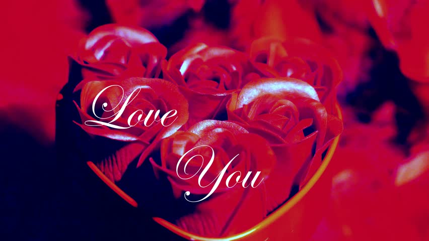 Heart in red feathers, I love you, Valentine