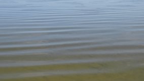 Captivating slow motion of rippling water surface at a tranquil lakeside setting during bright daylight - Powered by Shutterstock - Get 15% off with code: PIKWIZARD15