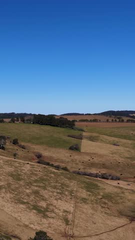 Drone ascends above rolling farmland, revealing expansive rural landscape under clear blue sky daylight