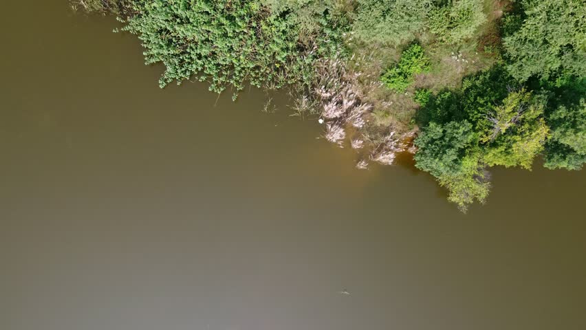 drone view rising from freshwater lake showing small island in middle with natural greenery and scenic water landscape
