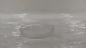 Close-up laboratory experiment of a thick green chemical solution being poured into a glass petri dish. Perfect for illustrating science, chemistry, laboratory research, experiments, education. - Powered by Shutterstock - Get 15% off with code: PIKWIZARD15