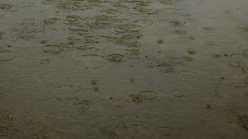 Raindrops dripping into puddles. Selective focus. Nature.