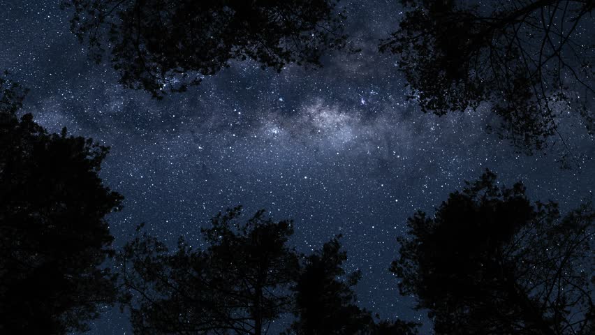 View from earth on Milky Way from forest. Timelapse shot, Earth rotation concept. Camera is zooming in, moving top