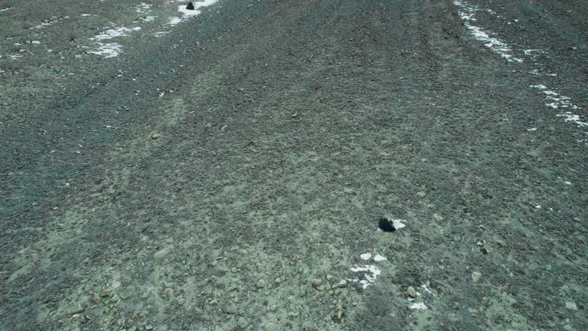 Beautiful drone view of mountain and Ibex in Gilgit Baltistan, Pakistan. Beautiful snow capped mountains, valley, cloudy weather, travelling, spa, nature, northern areas of Pakistan, tourism, beauty. 