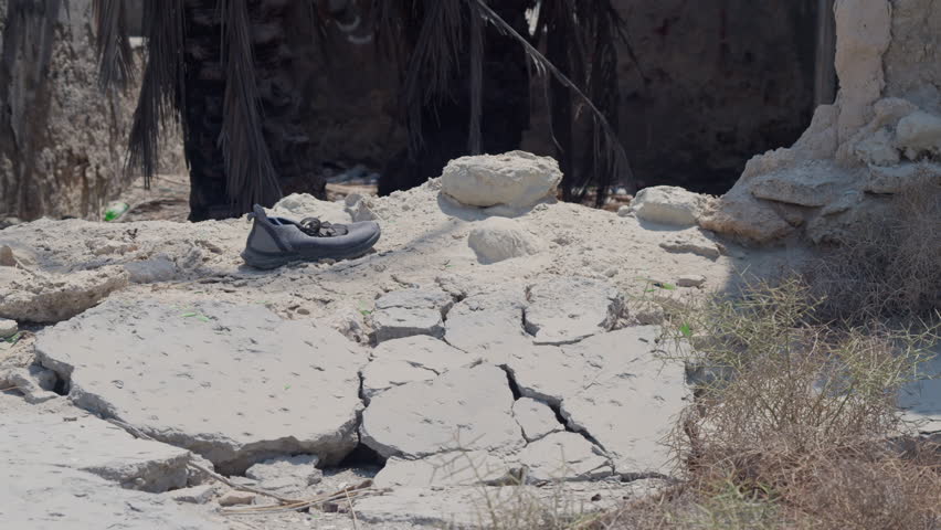 Condemned building remains and palm tree by the seashore in Zallaq, Al Janūbīyah, Bahrain.