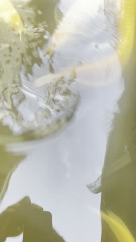 Arowana fish swimming gracefully in a clear pond. The elegant movement and shimmering scales highlight the beauty of tropical freshwater fish.